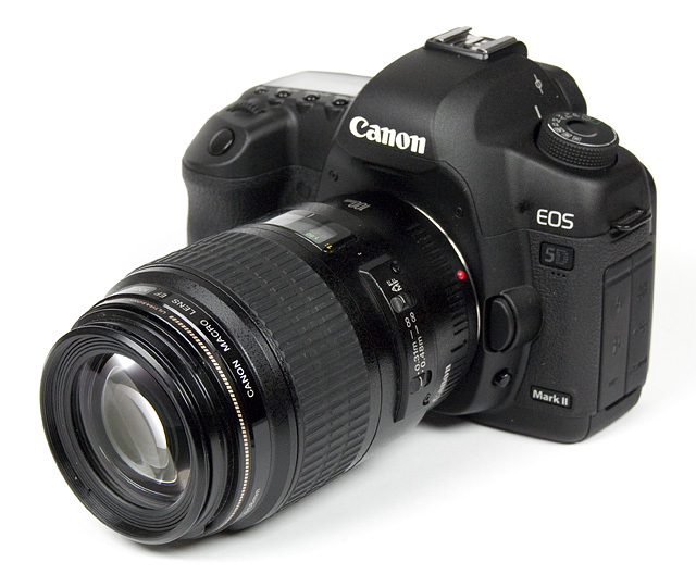 Canon macro 2.8 l is usm