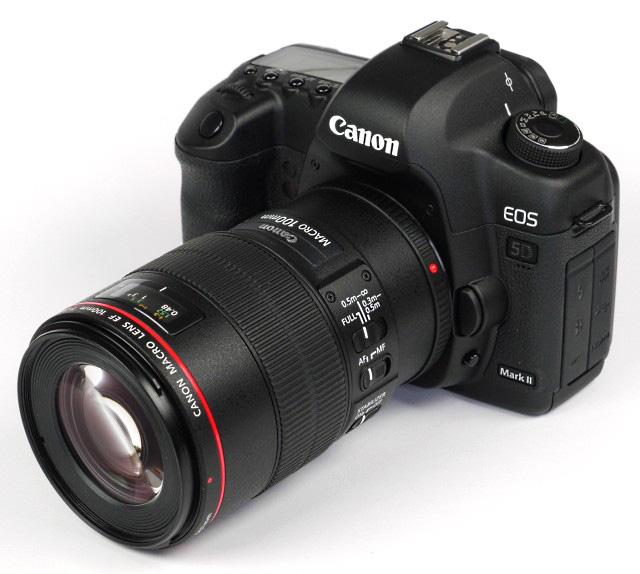 Canon EF 100mm f/2.8 USM L IS macro (Full Format) - Review / Test