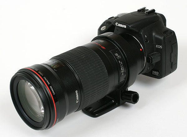 religie Ondenkbaar Levendig Canon EF 180mm f/3.5 L USM macro - Review / Test Report