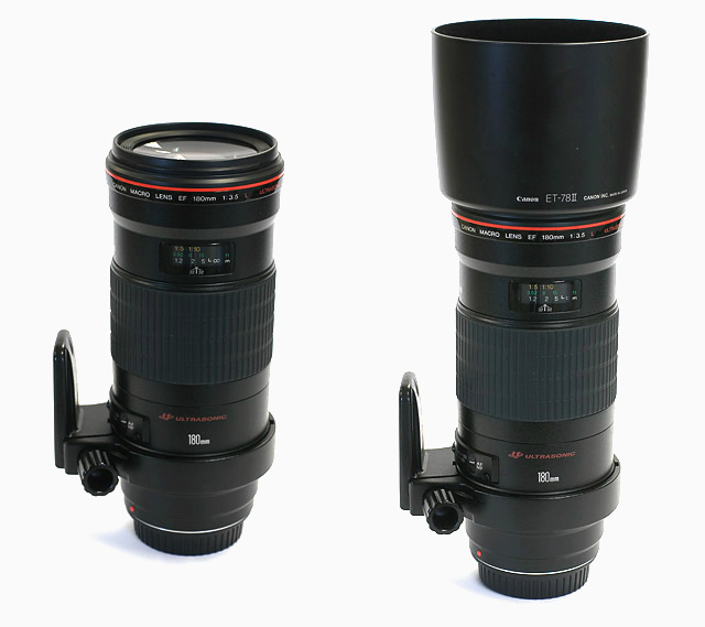 Canon EF 180mm f/3.5 L USM macro - Review / Test Report