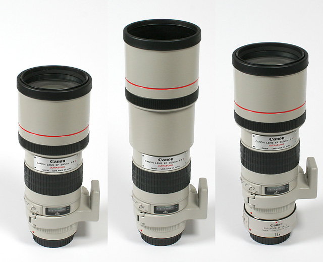 Canon EF 300mm f⁄4 USM L - Review ⁄ Test Report