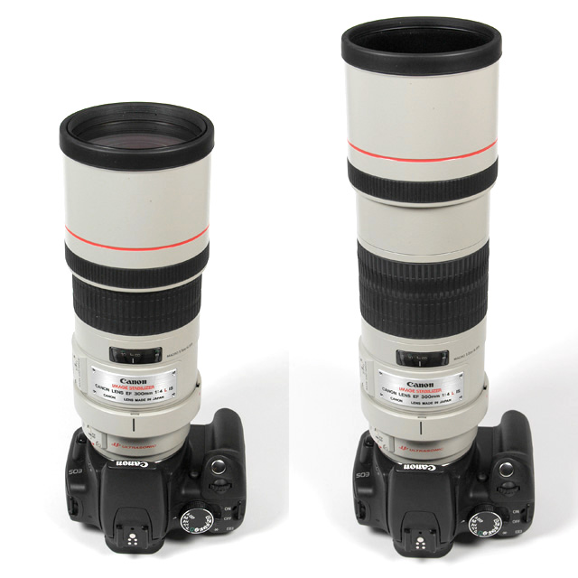 Canon EF 300mm f/4 USM L IS - Review / Test Report