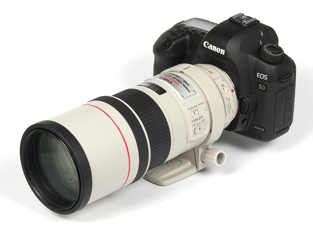 Canon EF 300mm f/4 USM L IS - Full Format Review / Test