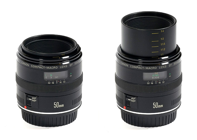 Canon EF 50mm f/2.5 macro - Review / Test Report