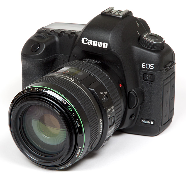 krater Tweede leerjaar Ziek persoon Canon EF 70-300mm f/4.5-5.6 USM DO IS - Full Format Review / Test Report