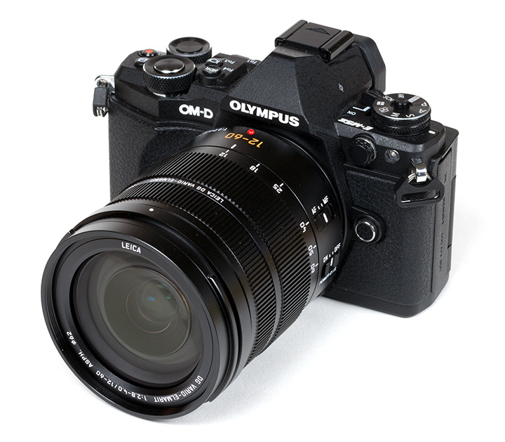 Leica DG Vario-Elmarit 12-60mm f/2.8-4 ASPH Power OIS (Panasonic